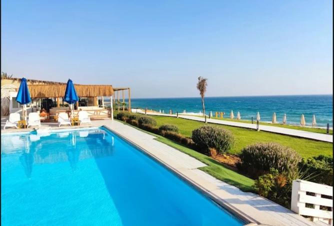 8217445 - صورة العقار 2