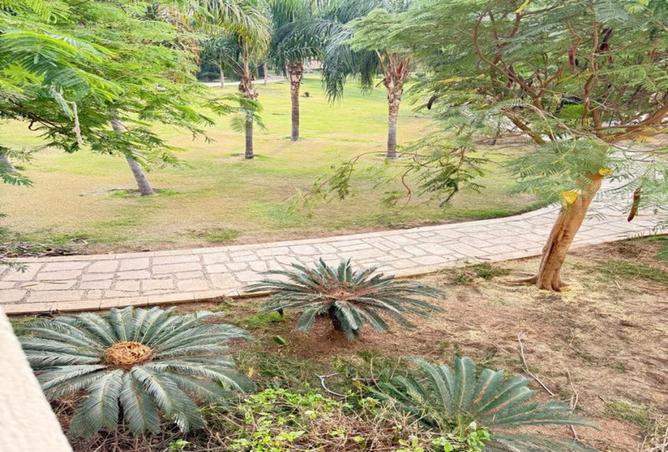 8334775 - صورة العقار 2