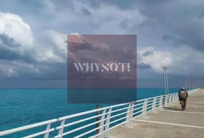 7899575 - صورة العقار 2