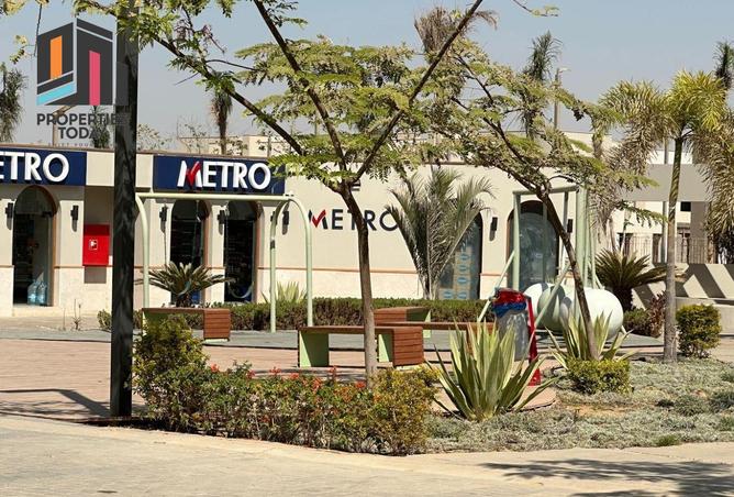 8384458 - Property Image 2