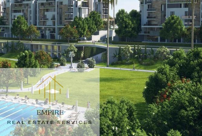 8254334 - Property Image 3