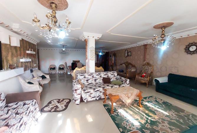 8157184 - Property Image 3