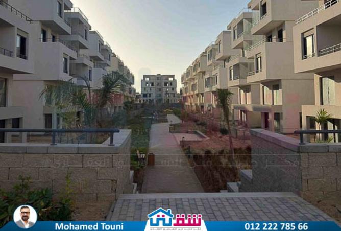 8192845 - صورة العقار 3