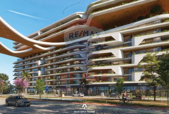 8446955 - Property Image 3