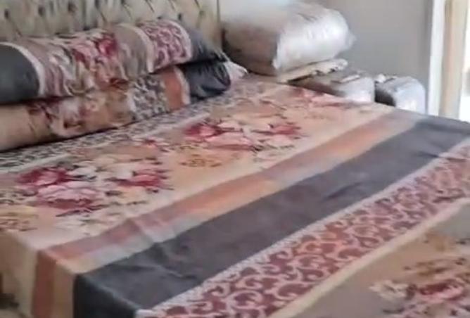 8129393 - Property Image 2