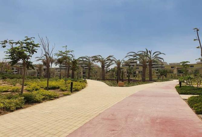 8042828 - صورة العقار 3