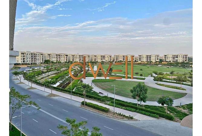 8252180 - Property Image 3