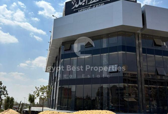 7958424 - Property Image 3