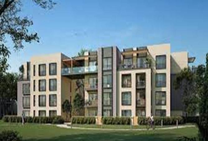 8184786 - Property Image 3