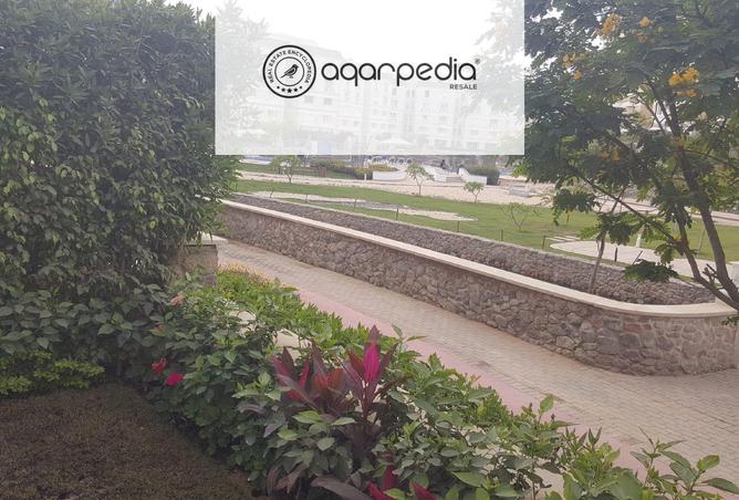 7995923 - Property Image 2