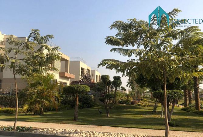 8372275 - صورة العقار 2