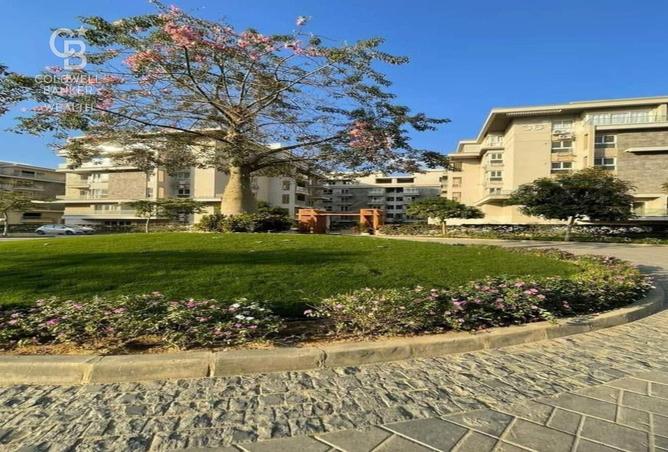 8297156 - Property Main Image