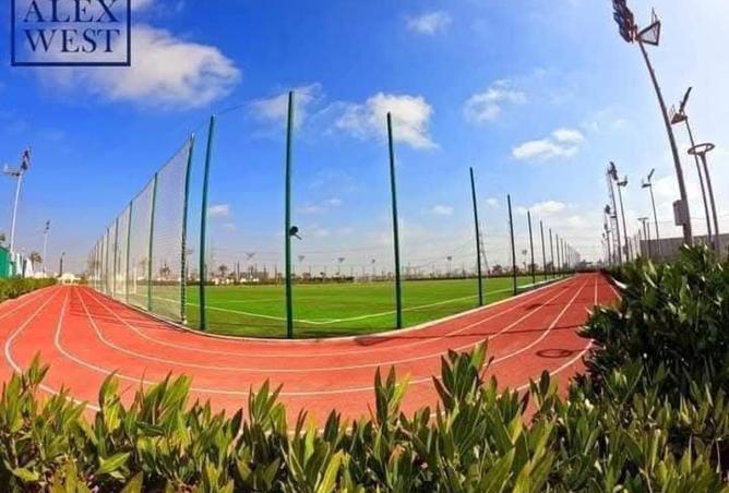 8250843 - Property Image 3