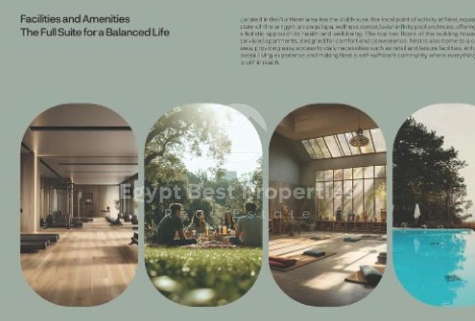 8158628 - صورة العقار 3