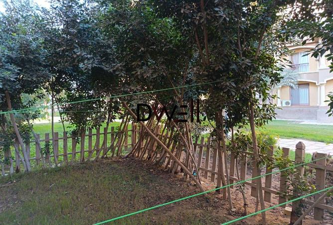 8336680 - صورة العقار 2