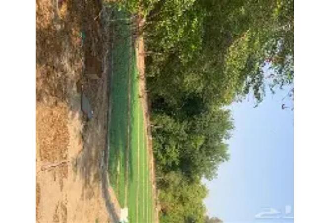 8311764 - الصورة الرئيسية للعقار