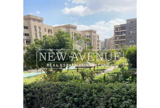 8282611 - Property Image 3