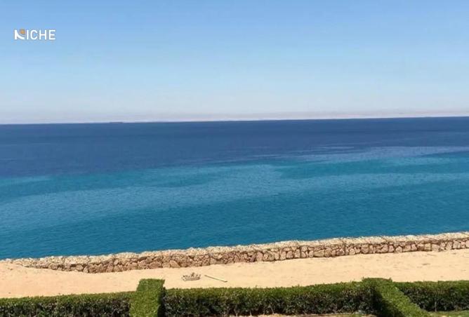 8075341 - صورة العقار 3