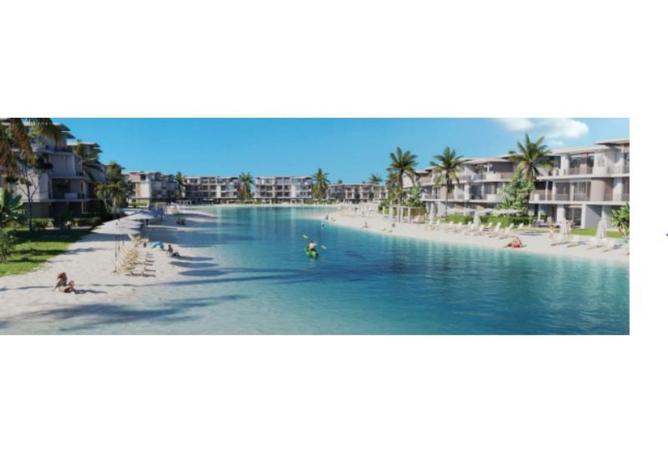 8353358 - Property Image 3