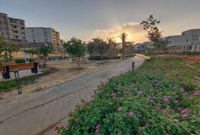 7962650 - صورة العقار 2