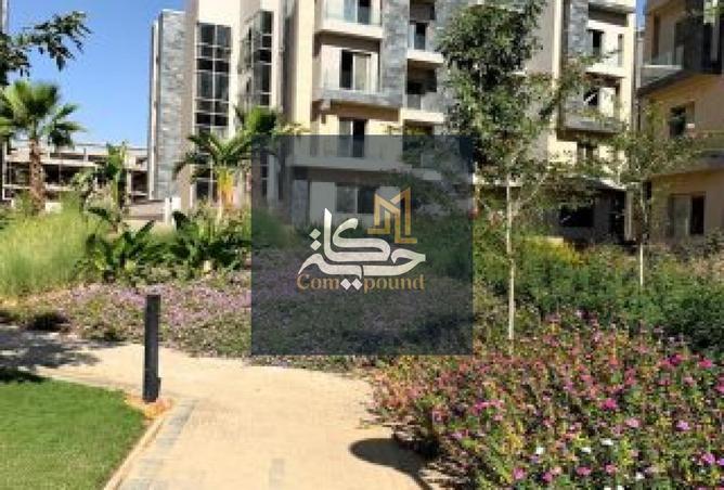 8411144 - Property Image 3