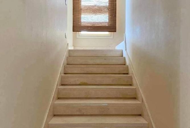 7952065 - صورة العقار 3