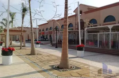 Shop - Studio - 1 Bathroom for rent in El Rehab Extension - Al Rehab - New Cairo City - Cairo