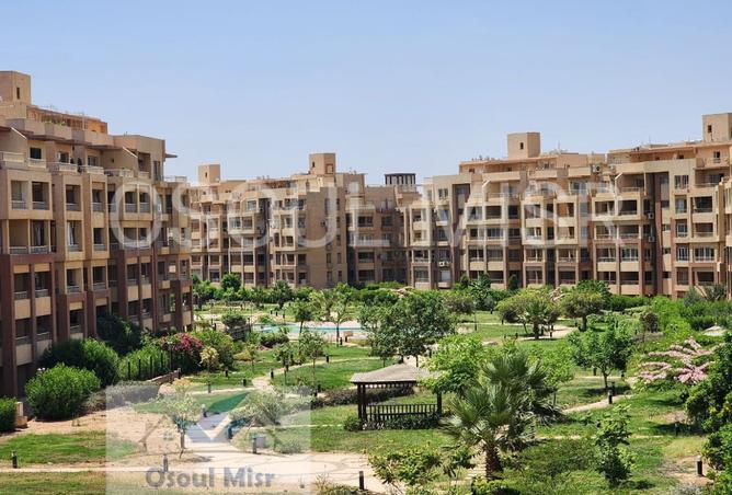 8149898 - Property Image 2