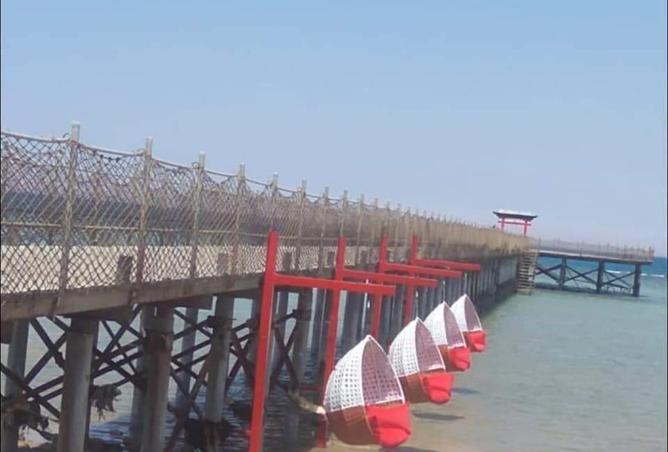 8328128 - الصورة الرئيسية للعقار