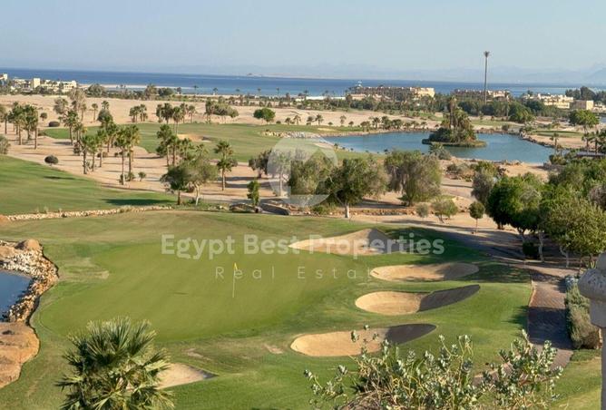 7977585 - Property Image 3