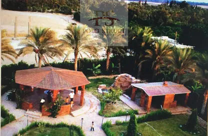 Villa - 7+ Bedrooms - 7+ Bathrooms for sale in Al Mansourya Rd - Akher Faisal - Faisal - Hay El Haram - Giza