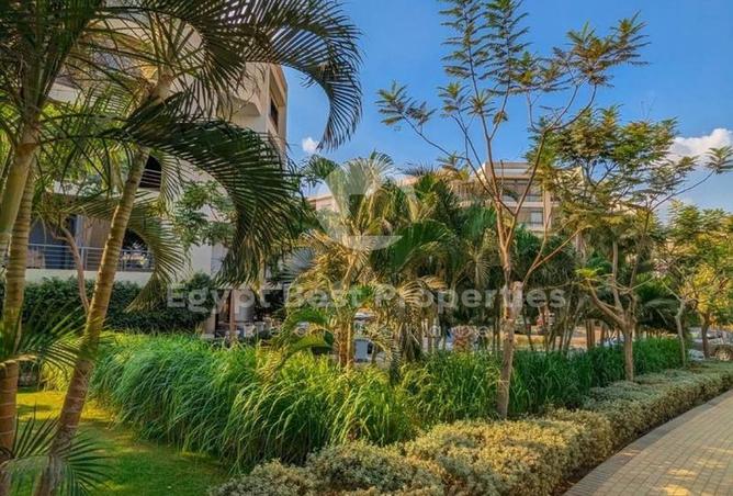 7994832 - الصورة الرئيسية للعقار