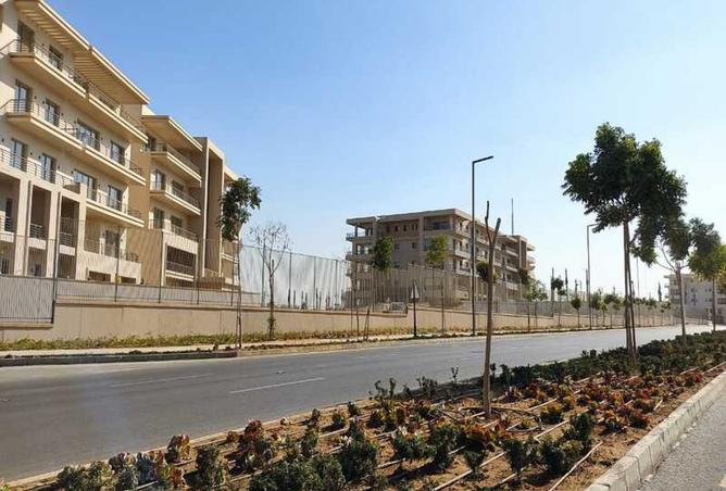 8006246 - صورة العقار 2