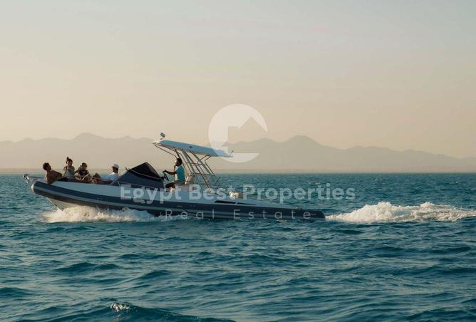 8320581 - Property Image 3