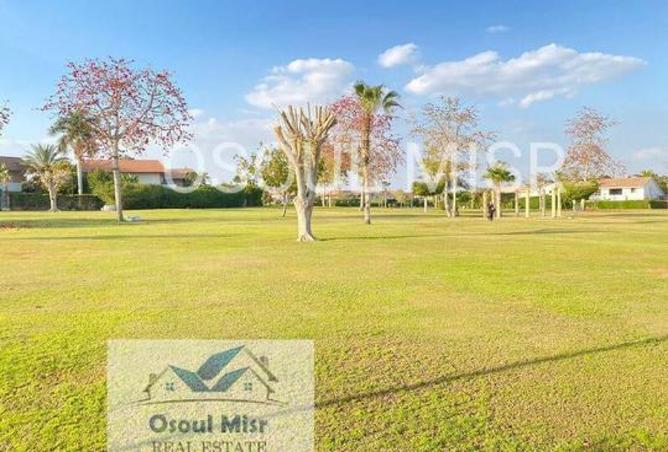 8106244 - Property Image 3