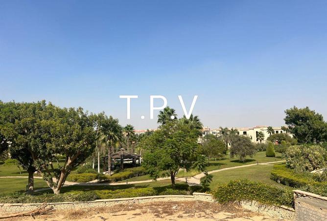 8554461 - Property Image 3