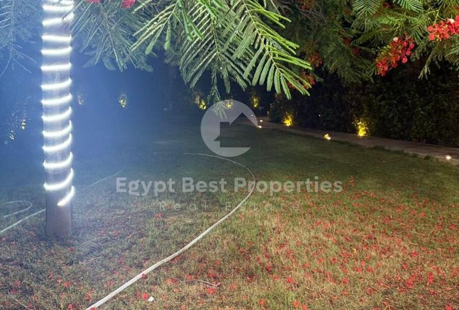 7994771 - صورة العقار 2