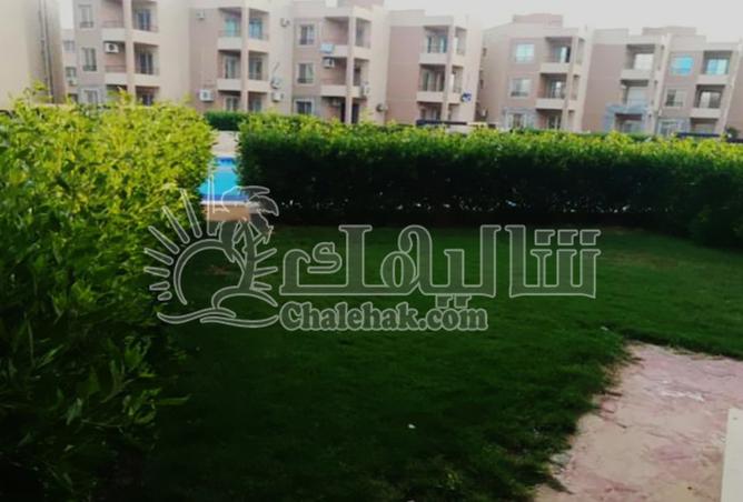 8427043 - الصورة الرئيسية للعقار