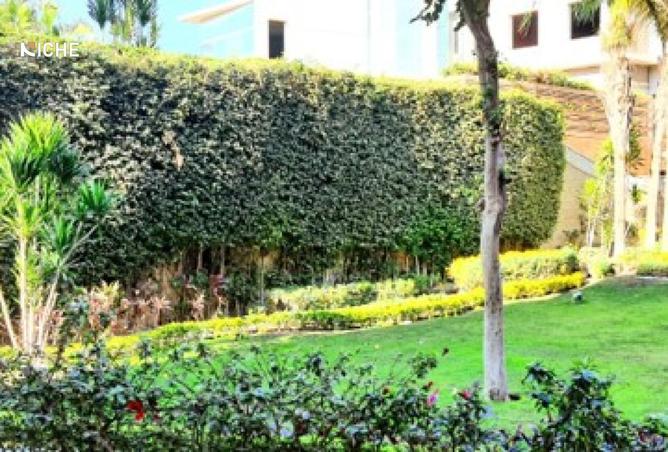 8427178 - صورة العقار 2