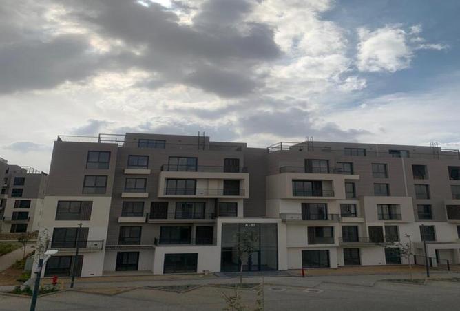 8035489 - Property Image 3