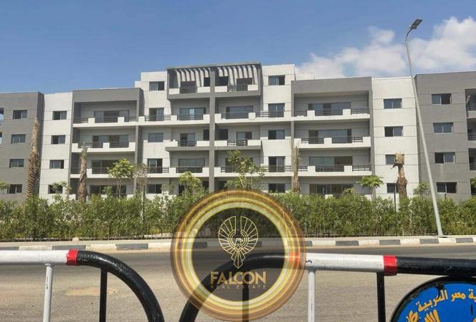 8564196 - صورة العقار 3