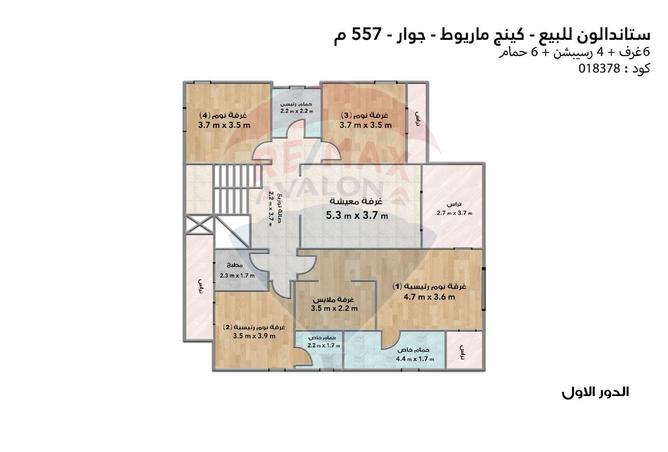 6199601 - صورة العقار 3