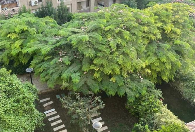 8181778 - صورة العقار 2