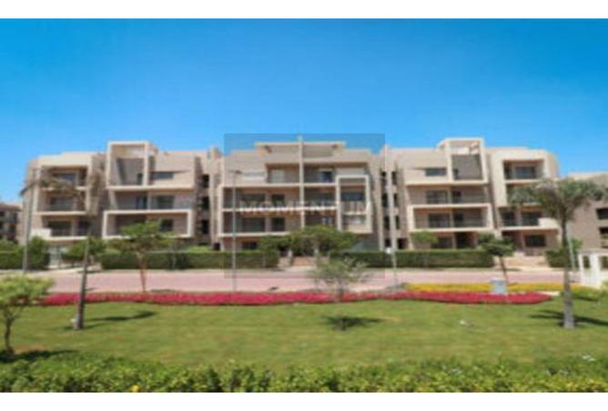 7981492 - صورة العقار 3