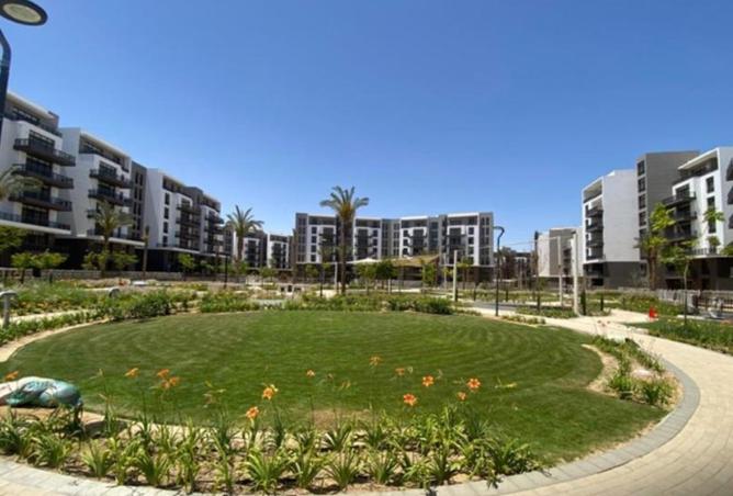 8234009 - Property Image 3