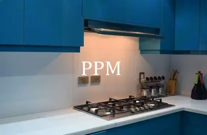 دوبلكس - 3 غرف نوم - 3 حمامات للبيع في فيلدج جيت - المستثمرين الجنوبية - مدينة القاهرة الجديدة - القاهرة