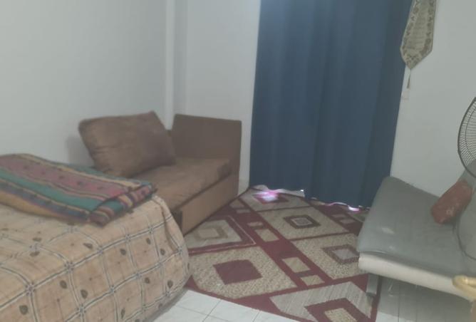 8427919 - Property Image 3