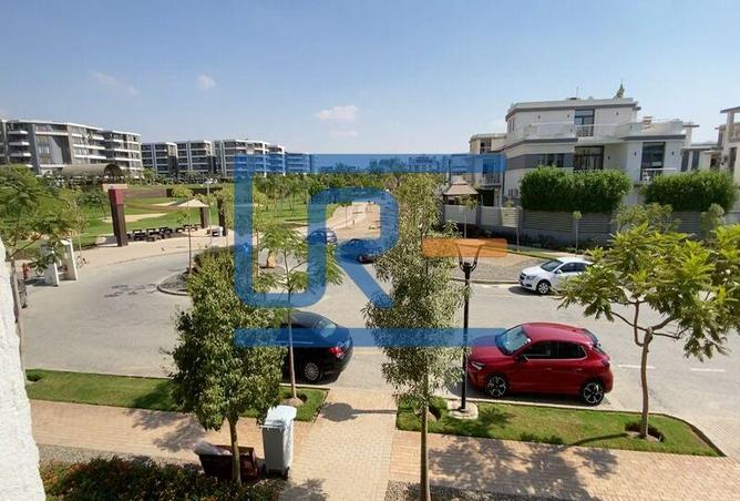 7980891 - Property Image 3