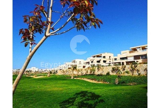 8468692 - صورة العقار 3