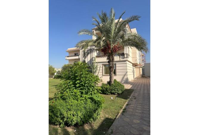 8430005 - صورة العقار 2